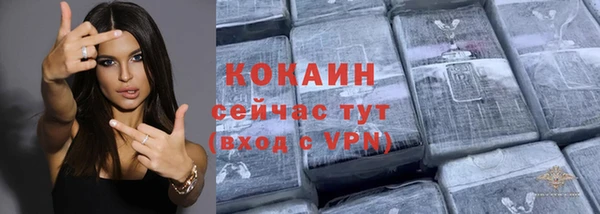 индика Медногорск