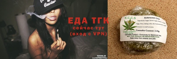 индика Медногорск