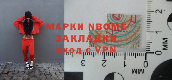 индика Медногорск