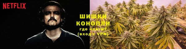 индика Медногорск