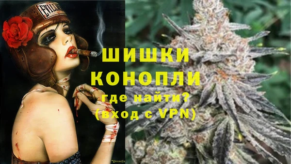 индика Медногорск
