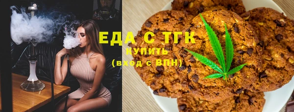 индика Медногорск