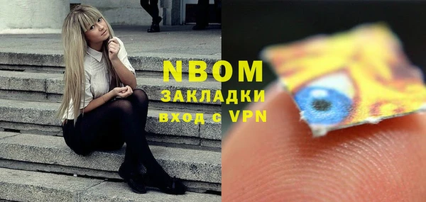 индика Медногорск