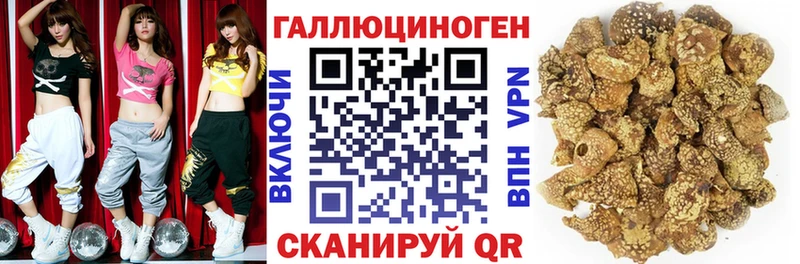 Галлюциногенные грибы GOLDEN TEACHER  цена наркотик  Шарыпово 